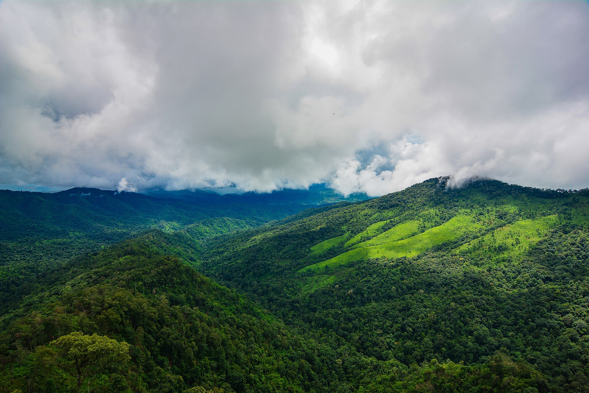 Mountain and rainforest landscape in Thailand