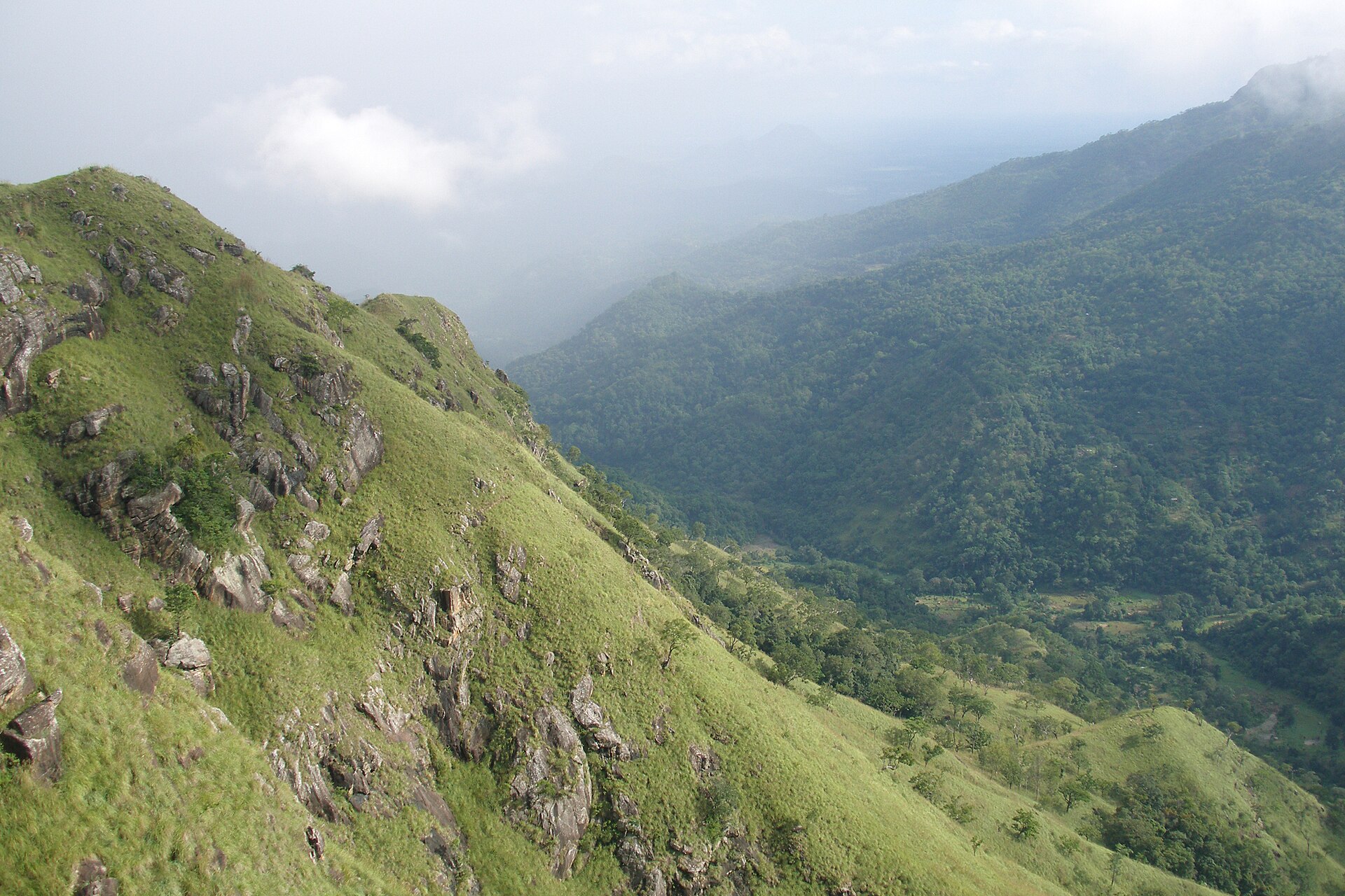 Tea plantations and hills around Ella, Sri Lanka