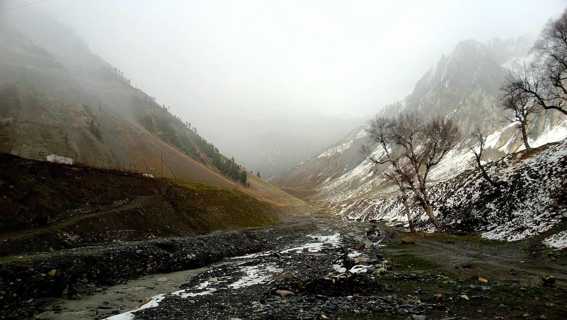 Green meadow and peaks in the Kashmir valley