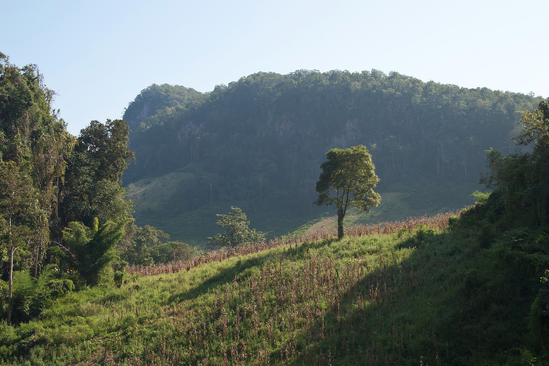 Hills and valleys of the Mae Hong Son region
