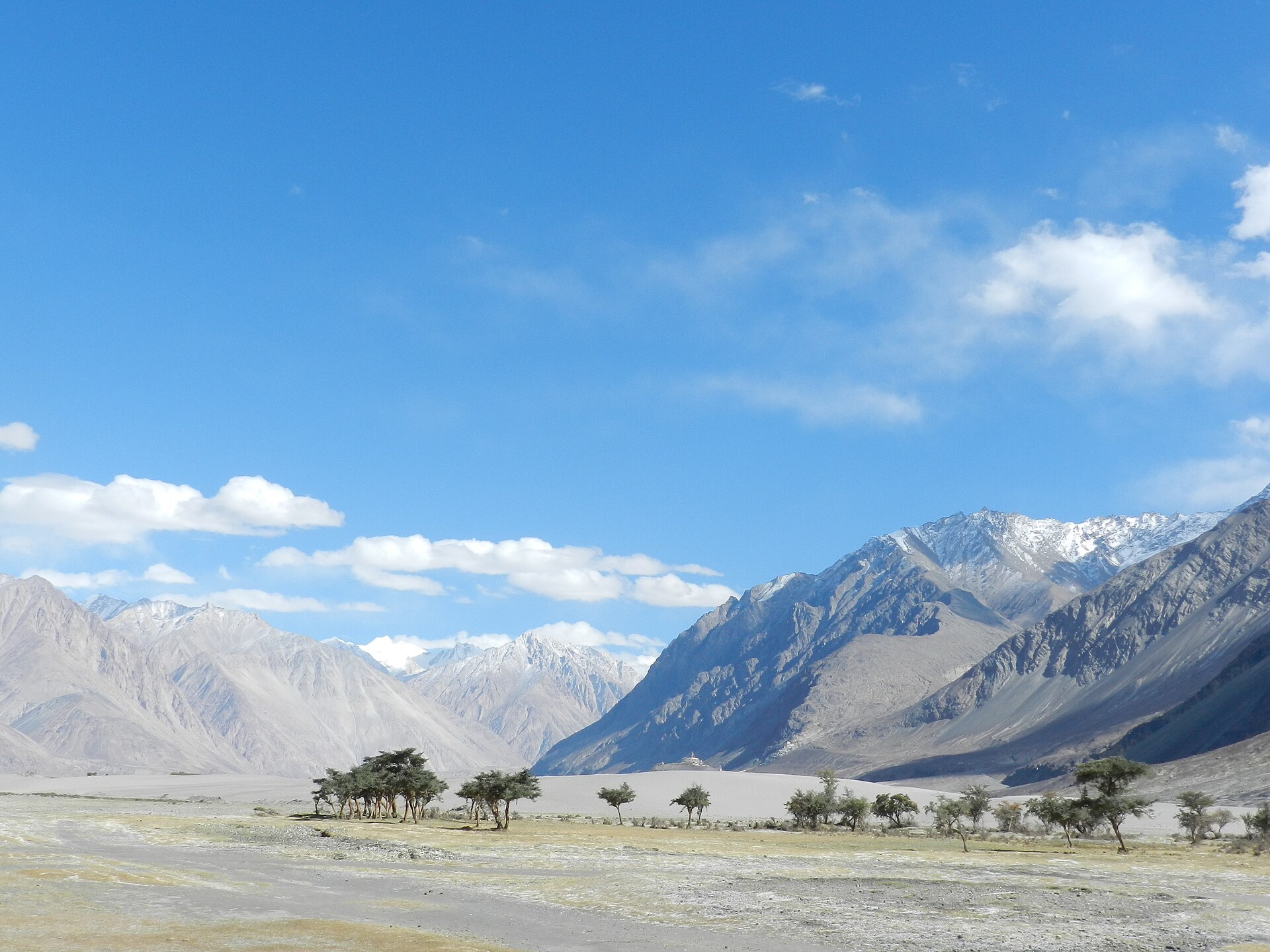 Nubra Valley's sand dunes framed by mountains