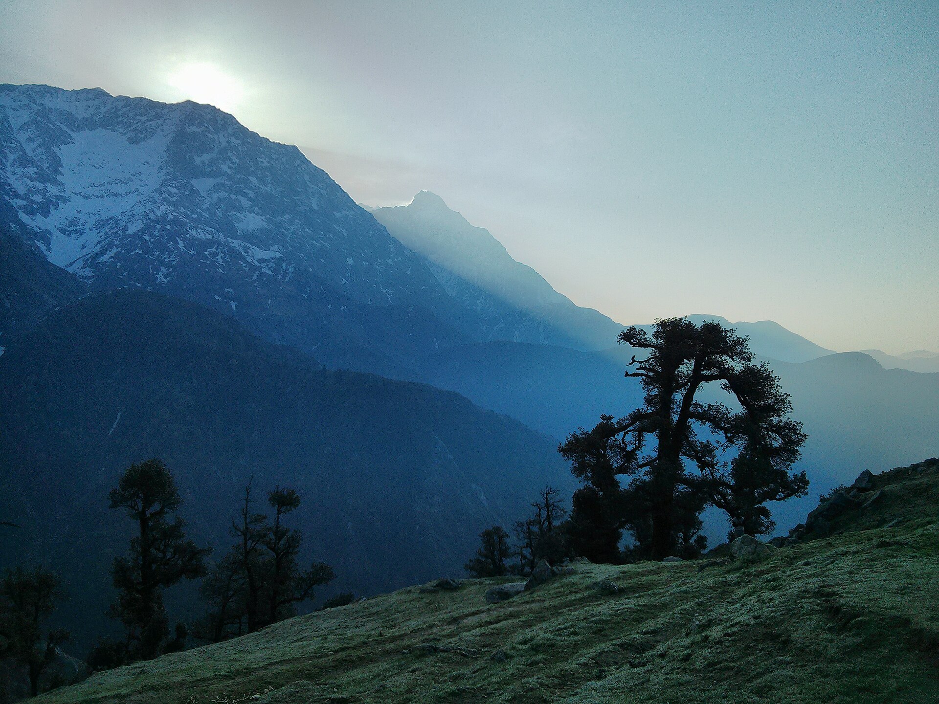 Triund hilltop with Dhauladhar range backdrop